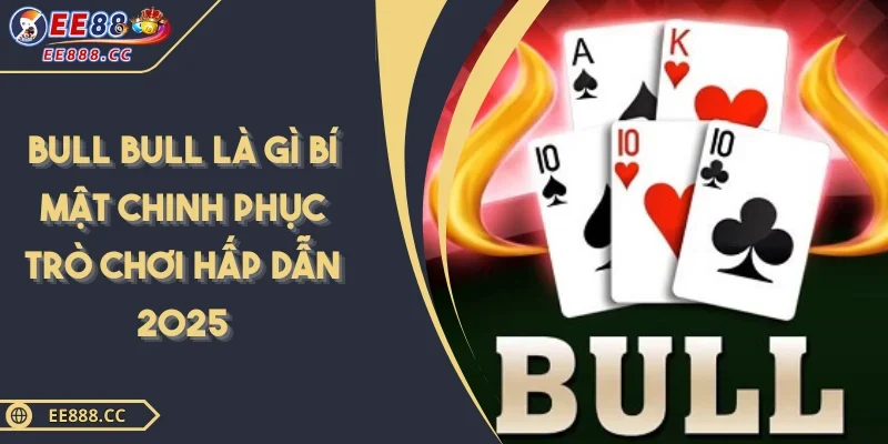 Bull Bull Là Gì